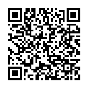Link to your fundraiser QRCode - Fundraising