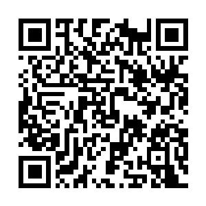 Link to your fundraiser QRCode - Fundraising