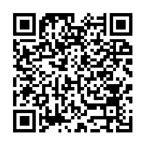 Link to your fundraiser QRCode - Fundraising