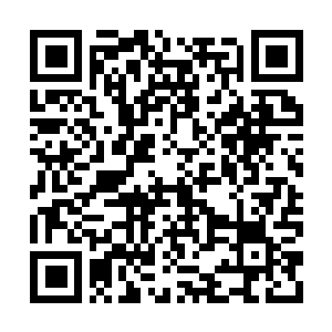 Link to your fundraiser QRCode - Fundraising