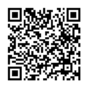 Link to your fundraiser QRCode - Fundraising