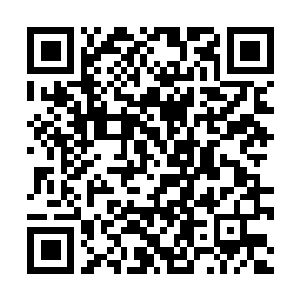 Link to your fundraiser QRCode - Fundraising