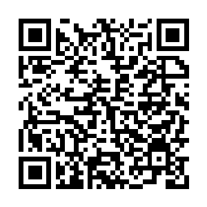 Link to your fundraiser QRCode - Fundraising