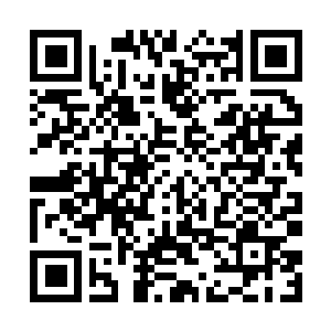 Link to your fundraiser QRCode - Fundraising