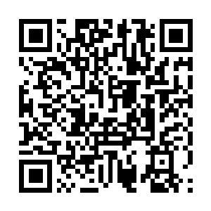 Link to your fundraiser QRCode - Fundraising