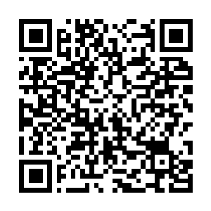 Link to your fundraiser QRCode - Fundraising