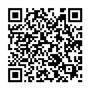 Link to your fundraiser QRCode - Fundraising