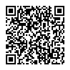 Link to your fundraiser QRCode - Fundraising