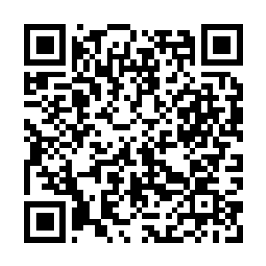 Link to your fundraiser QRCode - Fundraising