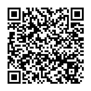 Link to your fundraiser QRCode - Fundraising