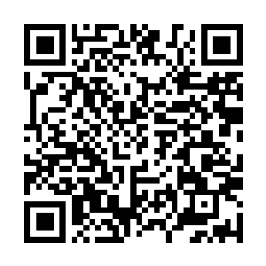 Link to your fundraiser QRCode - Fundraising