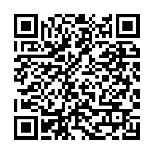 Link to your fundraiser QRCode - Fundraising