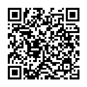 Link to your fundraiser QRCode - Fundraising