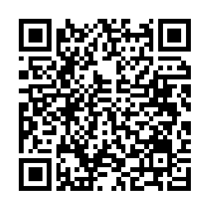 Link to your fundraiser QRCode - Fundraising