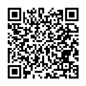 Link to your fundraiser QRCode - Fundraising