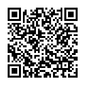 Link to your fundraiser QRCode - Fundraising
