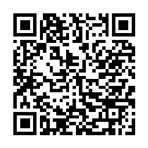 Link to your fundraiser QRCode - Fundraising