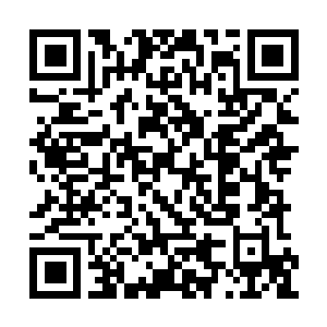 Link to your fundraiser QRCode - Fundraising