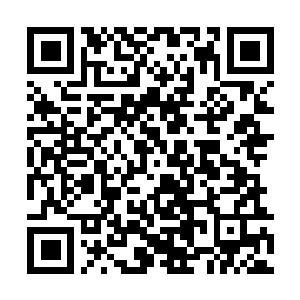 Link to your fundraiser QRCode - Fundraising