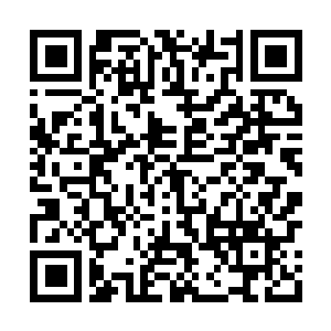 Link to your fundraiser QRCode - Fundraising