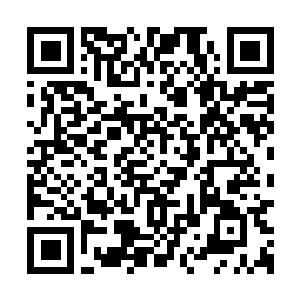 Link to your fundraiser QRCode - Fundraising