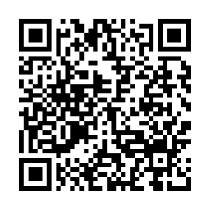 Link to your fundraiser QRCode - Fundraising