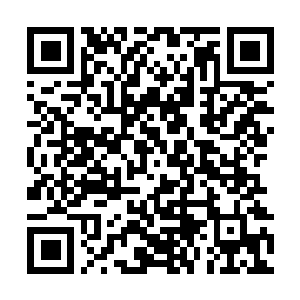 Link to your fundraiser QRCode - Fundraising