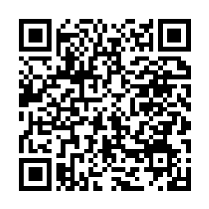 Link to your fundraiser QRCode - Fundraising
