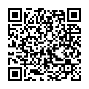 Link to your fundraiser QRCode - Fundraising