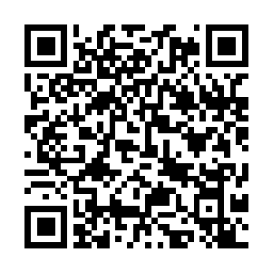 Link to your fundraiser QRCode - Fundraising