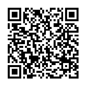 Link to your fundraiser QRCode - Fundraising