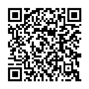 Link to your fundraiser QRCode - Fundraising