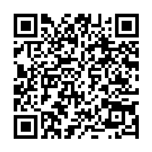 Link to your fundraiser QRCode - Fundraising