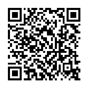 Link to your fundraiser QRCode - Fundraising