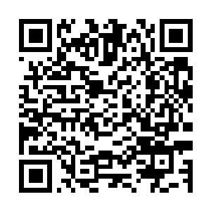Link to your fundraiser QRCode - Fundraising