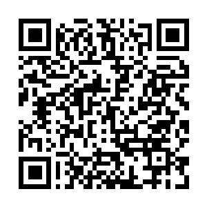 Link to your fundraiser QRCode - Fundraising