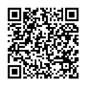 Link to your fundraiser QRCode - Fundraising