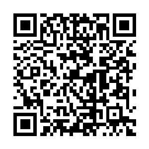 Link to your fundraiser QRCode - Fundraising