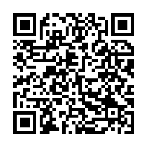Link to your fundraiser QRCode - Fundraising