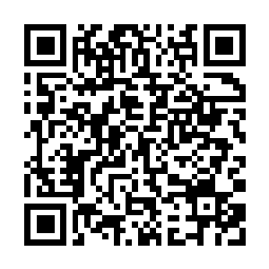 Link to your fundraiser QRCode - Fundraising