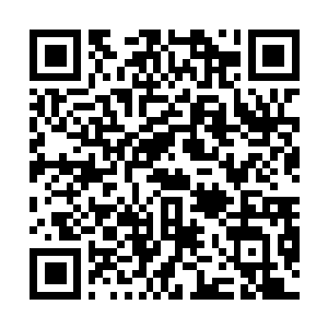 Link to your fundraiser QRCode - Fundraising