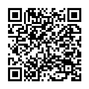 Link to your fundraiser QRCode - Fundraising