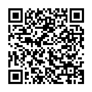 Link to your fundraiser QRCode - Fundraising