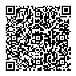 Link to your fundraiser QRCode - Fundraising