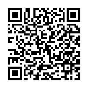 Link to your fundraiser QRCode - Fundraising