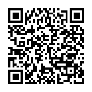 Link to your fundraiser QRCode - Fundraising