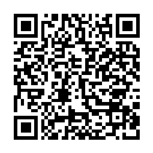 Link to your fundraiser QRCode - Fundraising