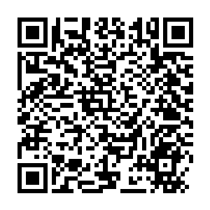 Link to your fundraiser QRCode - Fundraising