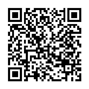 Link to your fundraiser QRCode - Fundraising