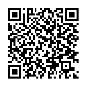 Link to your fundraiser QRCode - Fundraising